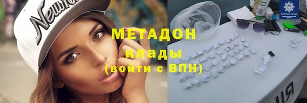 гашик Алексин