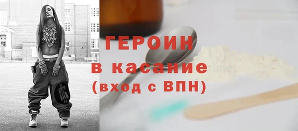гашик Алексин