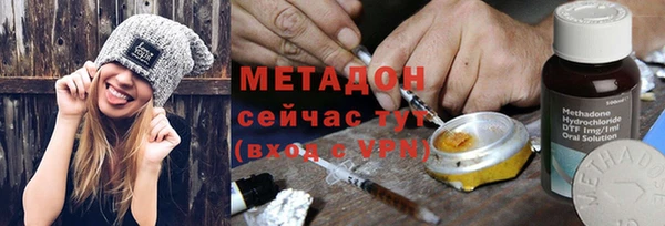 гашик Алексин
