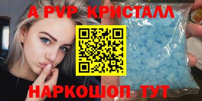 стаф Донской