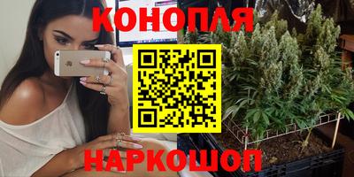 стаф Донской