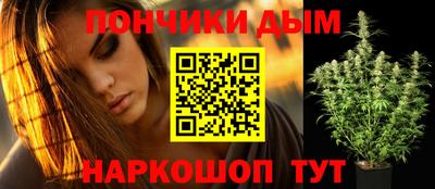 гидра Дубна